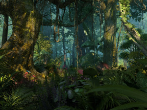 Rainforest 3Dモデル