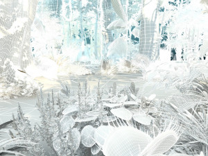 Rainforest Modelo 3D