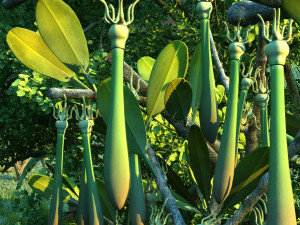 Eggplant 3D Модель