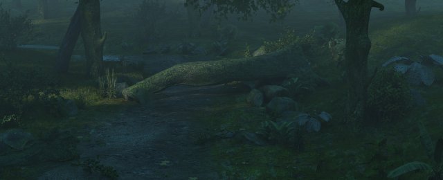Rainforest Modelo 3D .c4d .max .obj .3ds .fbx .stl .blend 
