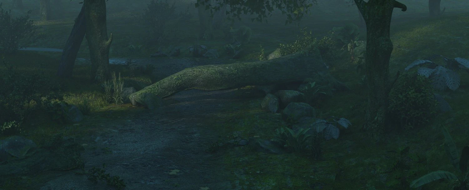 Rainforest 3D Model .c4d .max .obj .3ds .fbx .stl .blend