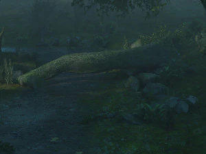 selva tropical Modelo 3D