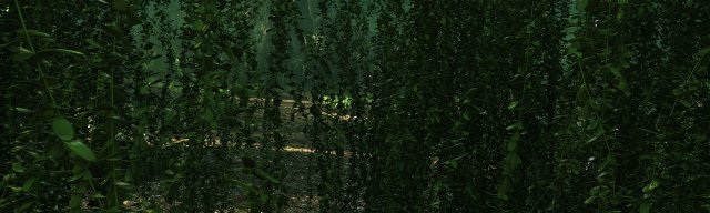Rainforest Modello 3D .c4d .max .obj .3ds .fbx .stl .blend 