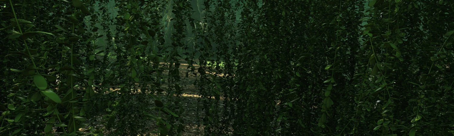 Rainforest 3D Model .c4d .max .obj .3ds .fbx .stl .blend 