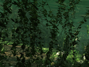 Rainforest Modello 3D