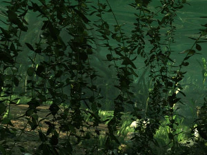 Rainforest 3D Model