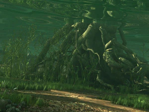 Rainforest 3D Model