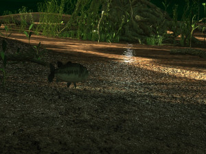 Rainforest Modello 3D