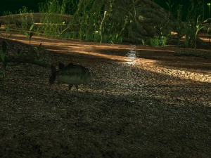 Rainforest 3D Model