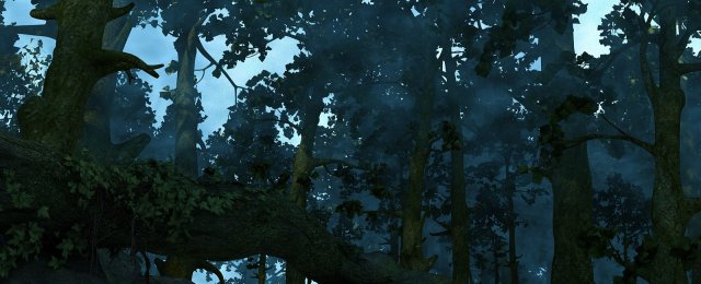 Rainforest 3D Модель .c4d .max .obj .3ds .fbx .stl .blend 
