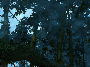 Rainforest 3D Model