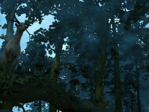 Rainforest 3D Модель