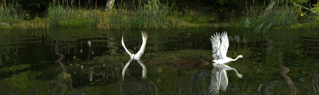 Wetlands 3D Model .c4d .max .obj .3ds .fbx .stl .blend 