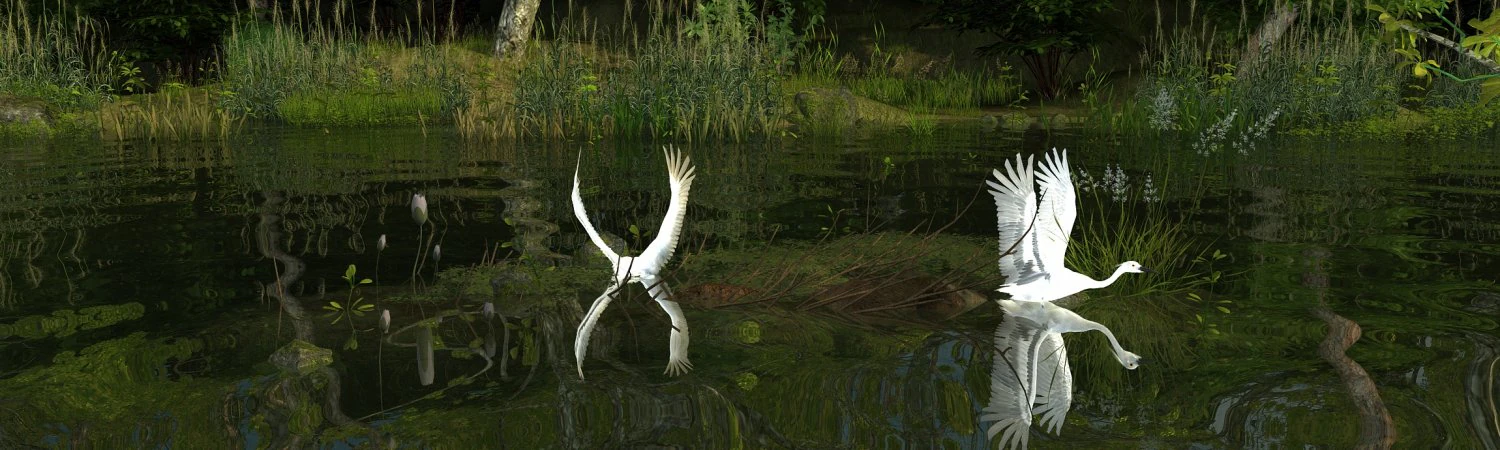 Wetlands 3D Model .c4d .max .obj .3ds .fbx .stl .blend 