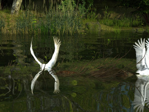 Wetlands Modelo 3D