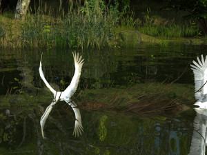 Wetlands 3D Model