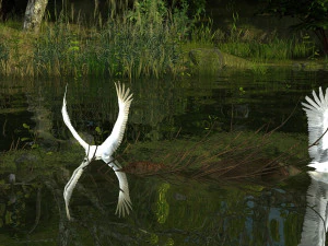 Wetlands 3D Model