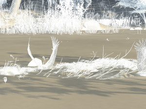Wetlands 3D Model
