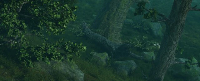 Las deszczowy Model 3D .c4d .max .obj .3ds .fbx .stl .blend 