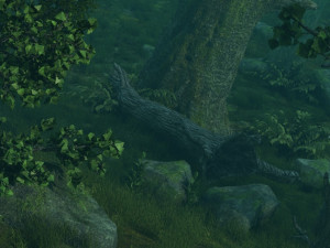 Rainforest Model 3D