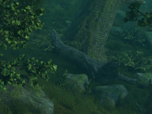 Las deszczowy Model 3D