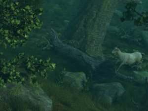Rainforest Modèle 3D