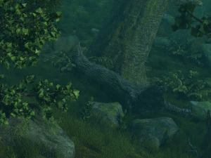 Las deszczowy Model 3D