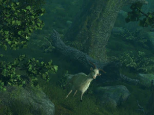 Las deszczowy Model 3D