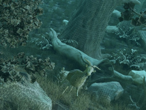 Rainforest Modèle 3D