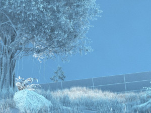 Banyan tree Modelo 3D