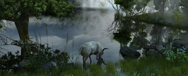 Rainforest Modello 3D .c4d .max .obj .3ds .fbx .stl .blend 