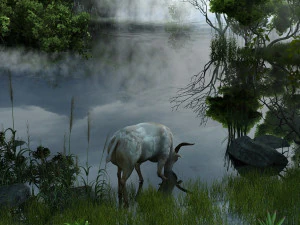 Las deszczowy Model 3D