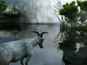Rainforest Modello 3D