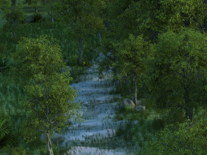 Forest Modelo 3D