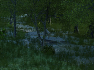 Forest 3D Модель