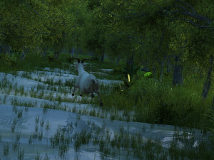 Forest 3D Модель
