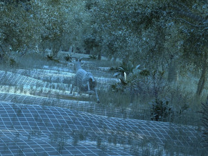 Forest 3D Модель