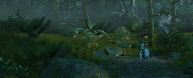 Rainforest 3D Model .c4d .max .obj .3ds .fbx .stl .blend 