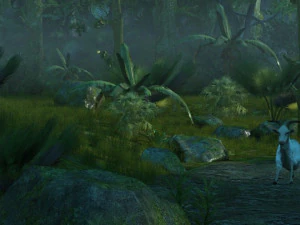 selva tropical Modelo 3D