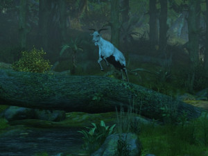 Rainforest 3D Model