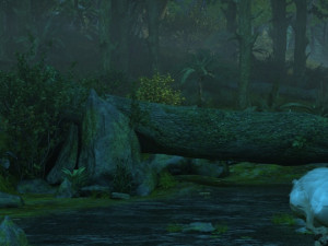 Rainforest 3D Model