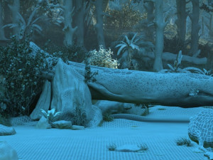 Rainforest 3D Model