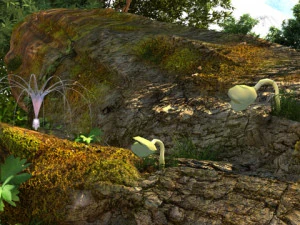 Seed germination 3D Model