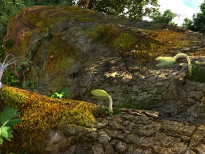 Seed germination 3D Model