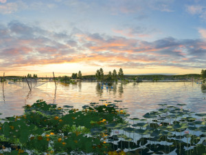 Lotus Pond 3D-Modell