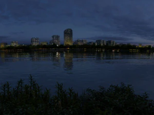 City night view 3D Model