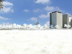 City building 3D Model
