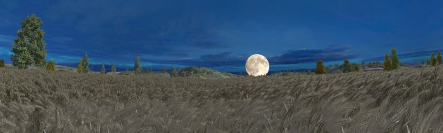 Wheat field 3D मॉडल .c4d .max .obj .3ds .fbx .stl .blend 
