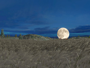 Wheat field 3D Model