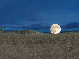 Ladang gandum Model 3D